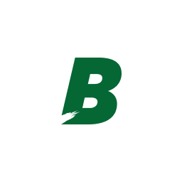 Betwild marka logosu